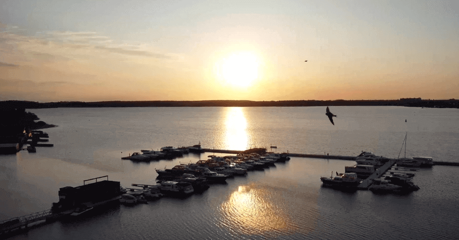 Ein Vogel fliegt über einen Steg mit Booten und einem Sonnenuntergang im Maremüritz Yachthafen Res